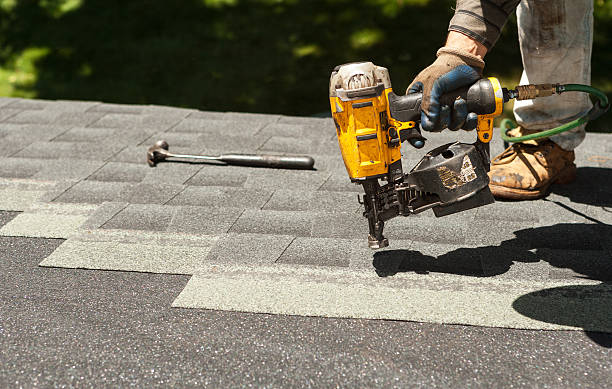 Best Roof Maintenance Services  in Grapeland, TX