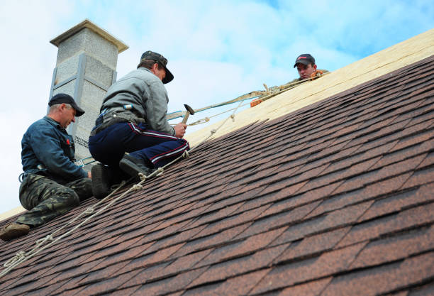 Best Affordable Roofing Company  in Grapeland, TX